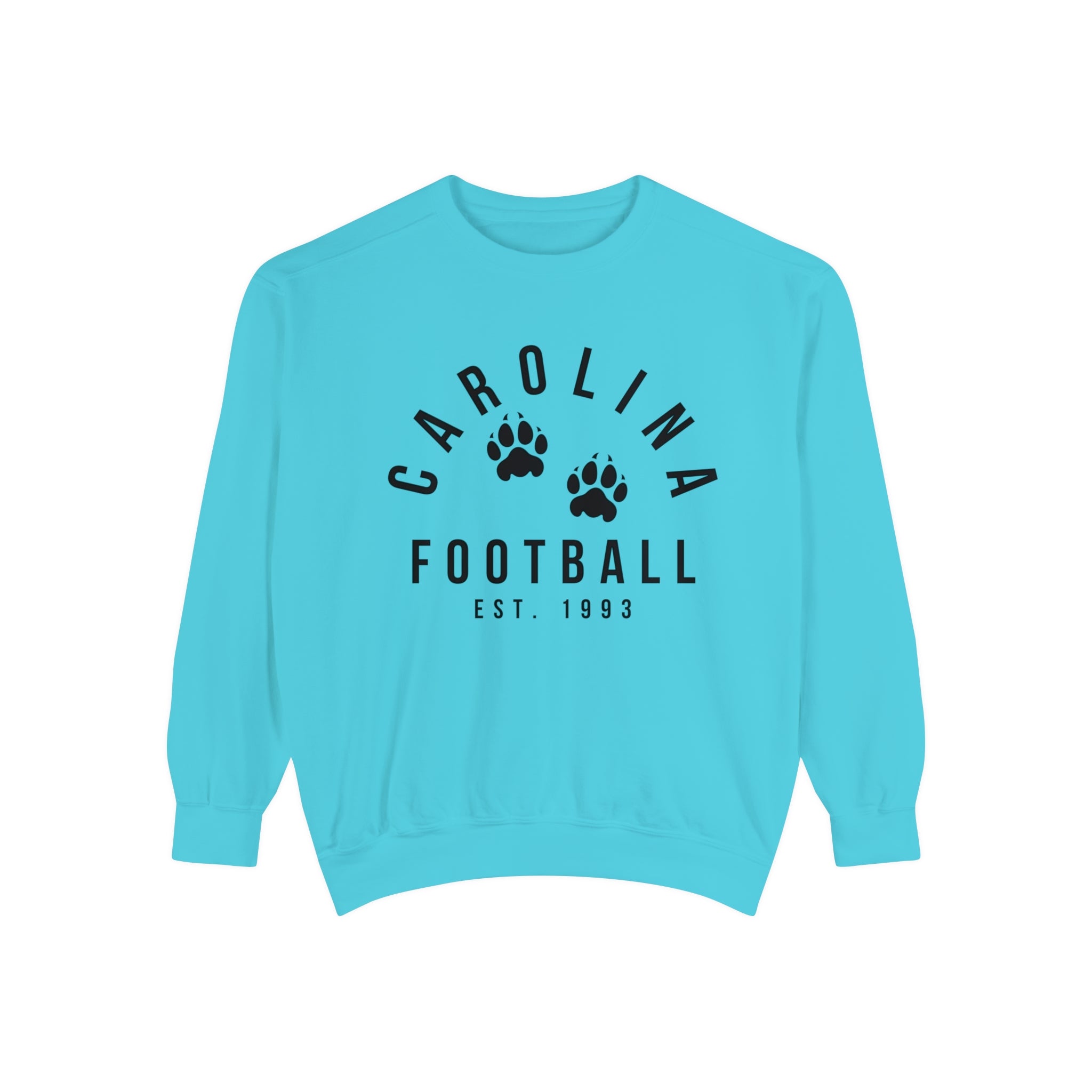 Carolina Panthers Crewneck Sweatshirt Retro NFL Football Hoodie Comfort Colors Vintage Men s and Women s Design 4